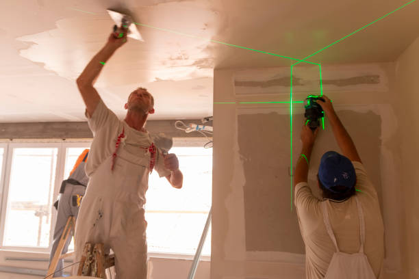 Best Biohazard Mold Removal  in Louisville, TN