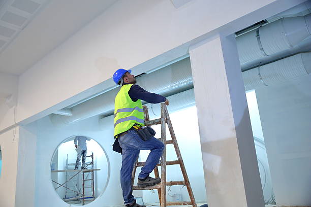 Best Commercial Mold Inspection  in Louisville, TN